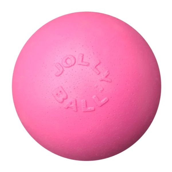 Jolly Bounce-n Play Bubblegum